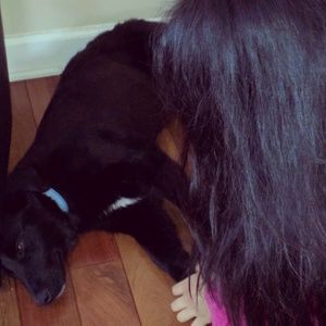 Meet your Posher, Lena